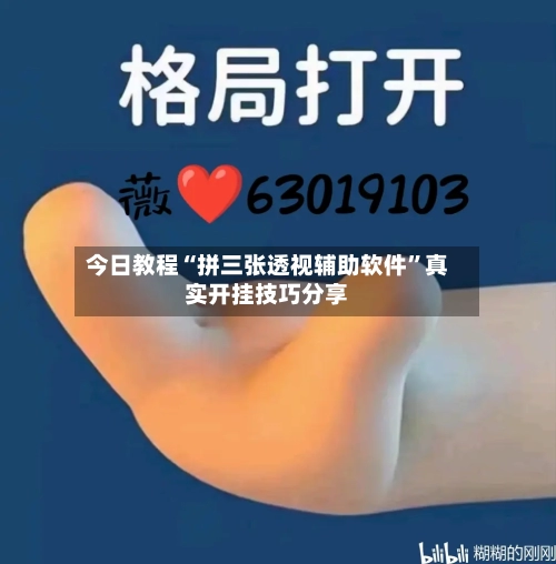 今日教程“拼三张透视辅助软件	”真实开挂技巧分享-第2张图片