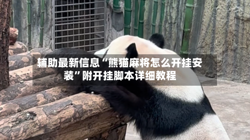 辅助最新信息“熊猫麻将怎么开挂安装”附开挂脚本详细教程-第2张图片