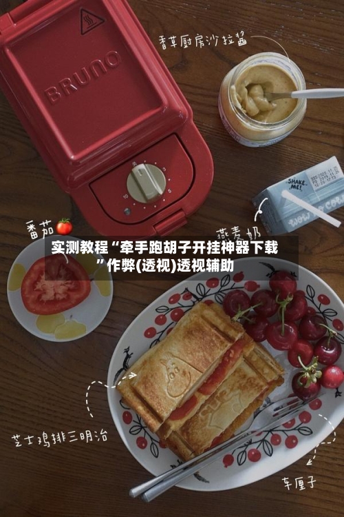 实测教程“牵手跑胡子开挂神器下载”作弊(透视)透视辅助-第3张图片