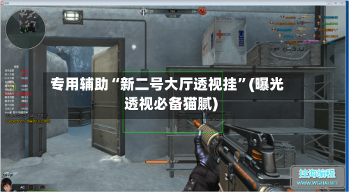 专用辅助“新二号大厅透视挂”(曝光透视必备猫腻)