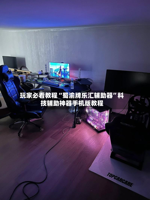 玩家必看教程“蜀渝牌乐汇辅助器”科技辅助神器手机版教程-第2张图片