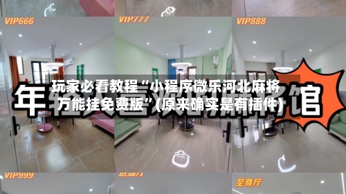 玩家必看教程“小程序微乐河北麻将万能挂免费版”(原来确实是有插件)-第2张图片