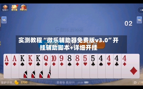 实测教程“微乐辅助器免费版v3.0”开挂辅助脚本+详细开挂-第3张图片