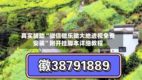 真实辅助“微信微乐锄大地透视免费安装	”附开挂脚本详细教程-第2张图片