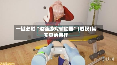 一键必胜“边锋游戏辅助器	”(透视)其实真的有挂-第2张图片