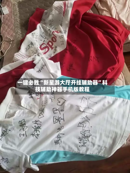 一键必胜“新星游大厅开挂辅助器”科技辅助神器手机版教程-第2张图片