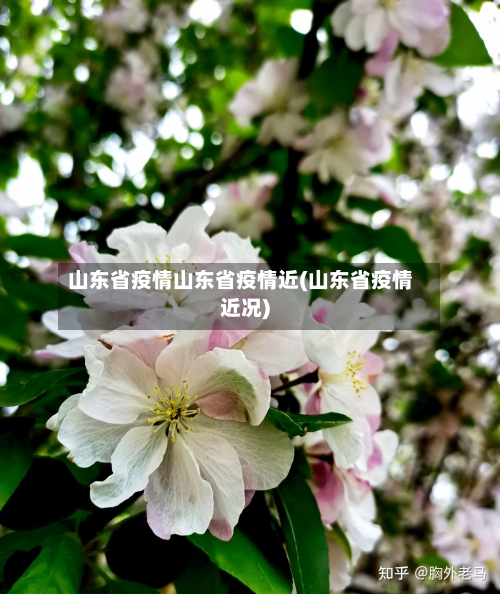 山东省疫情山东省疫情近(山东省疫情近况)-第3张图片