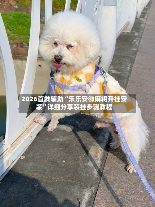 2026首发辅助“乐乐安徽麻将开挂安装”详细分享装挂步骤教程-第3张图片