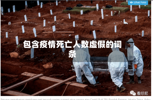 包含疫情死亡人数虚假的词条-第2张图片
