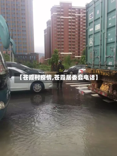 【苍霞村疫情,苍霞居委会电话】-第2张图片