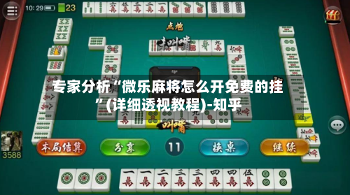 专家分析“微乐麻将怎么开免费的挂”(详细透视教程)-知乎-第2张图片