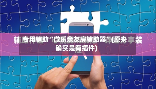 专用辅助“微乐亲友房辅助器”(原来确实是有插件)-第3张图片