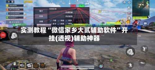 实测教程“微信家乡大贰辅助软件”开挂(透视)辅助神器-第3张图片