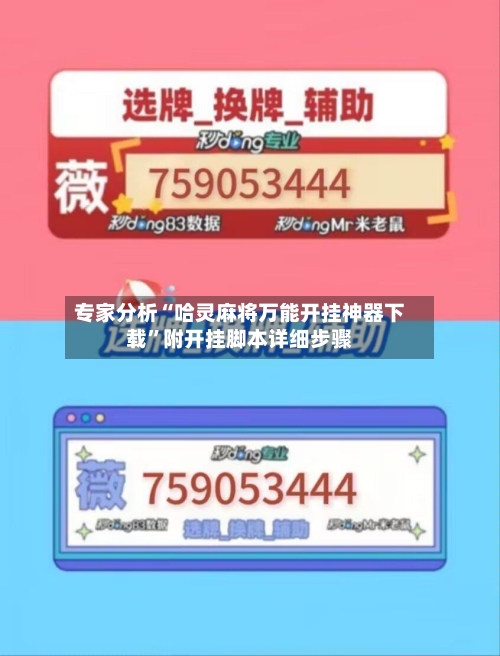 专家分析“哈灵麻将万能开挂神器下载”附开挂脚本详细步骤-第3张图片