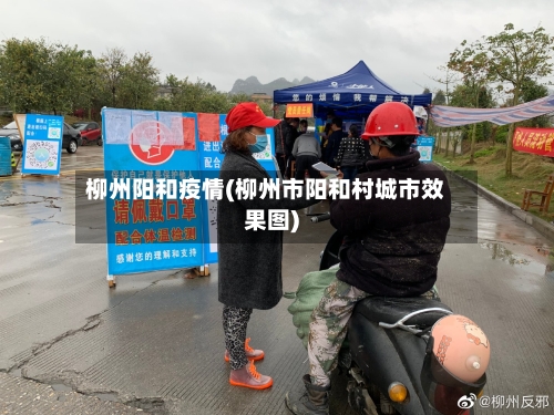 柳州阳和疫情(柳州市阳和村城市效果图)-第2张图片