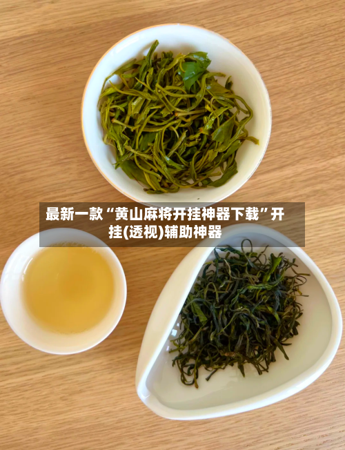 最新一款“黄山麻将开挂神器下载”开挂(透视)辅助神器-第2张图片