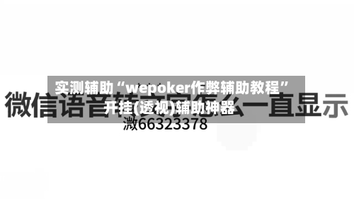 实测辅助“wepoker作弊辅助教程	”开挂(透视)辅助神器-第2张图片