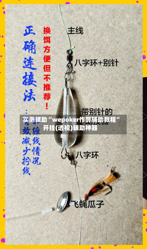 实测辅助“wepoker作弊辅助教程”开挂(透视)辅助神器-第3张图片