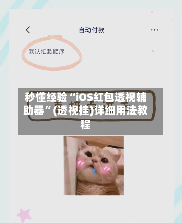 秒懂经验“iOS红包透视辅助器”(透视挂)详细用法教程-第3张图片
