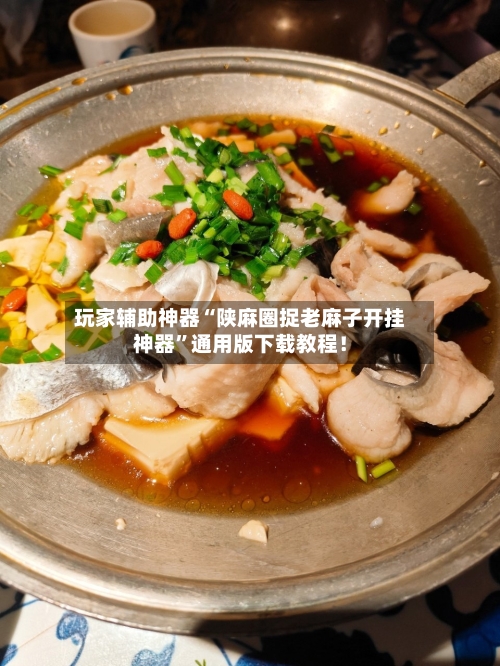 玩家辅助神器“陕麻圈捉老麻子开挂神器”通用版下载教程！-第2张图片