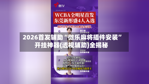 2026首发辅助“微乐麻将插件安装”开挂神器{透视辅助}全揭秘-第3张图片