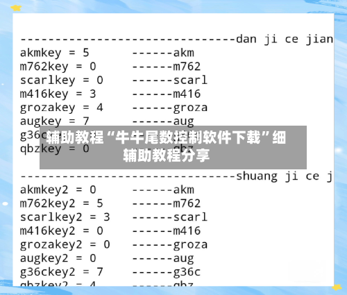 辅助教程“牛牛尾数控制软件下载”细辅助教程分享-第2张图片