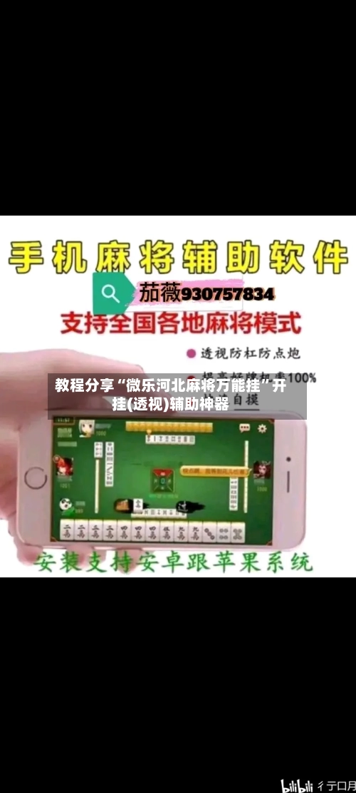 教程分享“微乐河北麻将万能挂	”开挂(透视)辅助神器-第2张图片