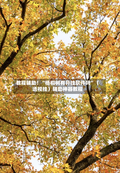 教程辅助！“梧桐树有开挂软件吗”（透视挂）辅助神器教程-第2张图片