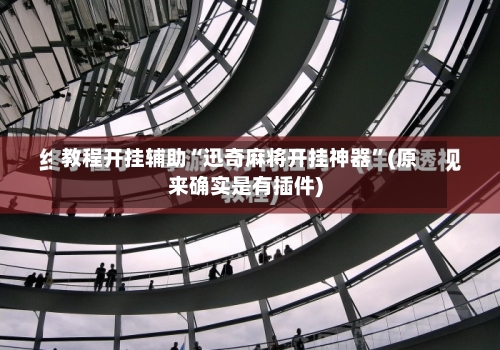 教程开挂辅助“迅奇麻将开挂神器”(原来确实是有插件)-第3张图片