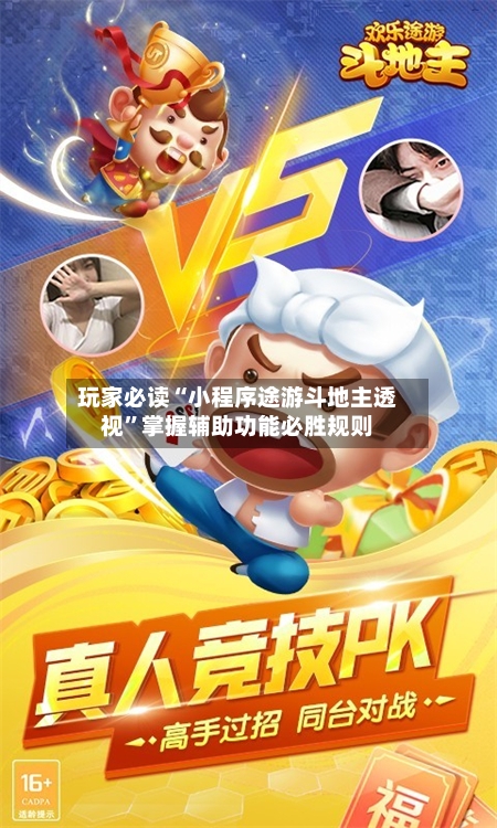 玩家必读“小程序途游斗地主透视	”掌握辅助功能必胜规则-第3张图片