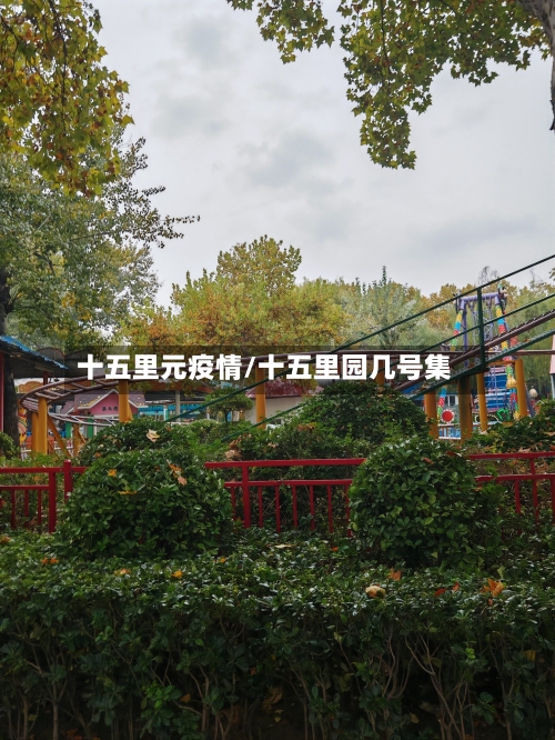 十五里元疫情/十五里园几号集