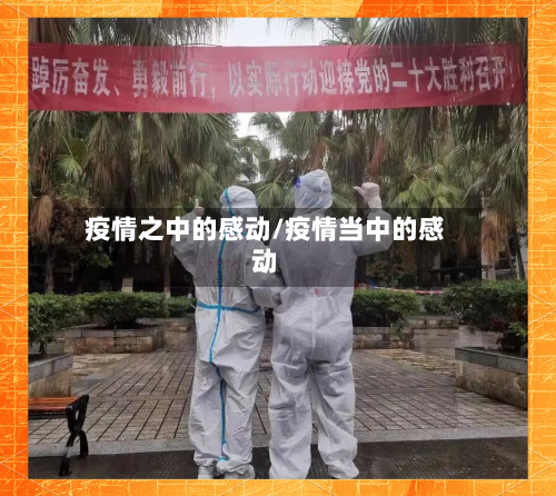 疫情之中的感动/疫情当中的感动-第2张图片