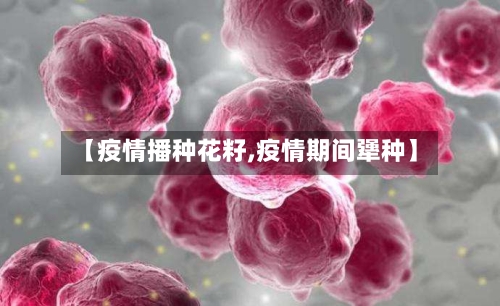 【疫情播种花籽,疫情期间犟种】-第3张图片