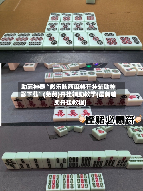 助赢神器“微乐陕西麻将开挂辅助神器下载”(免费)开挂辅助教学(最新辅助开挂教程)-第2张图片