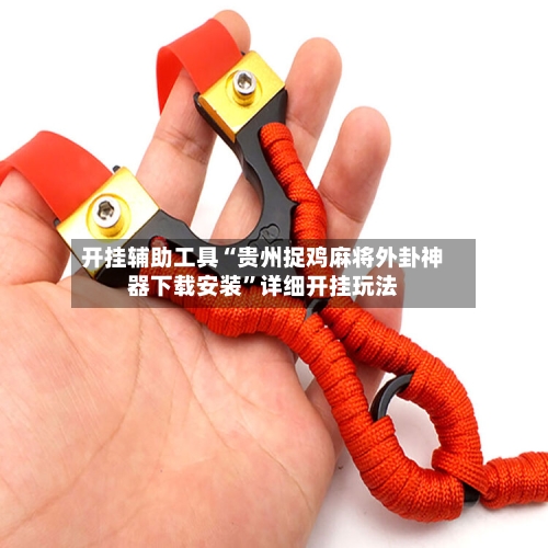 开挂辅助工具“贵州捉鸡麻将外卦神器下载安装	”详细开挂玩法-第2张图片