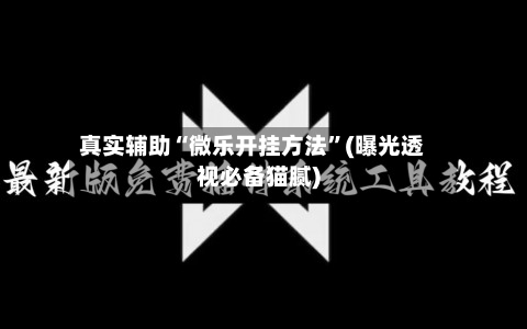 真实辅助“微乐开挂方法”(曝光透视必备猫腻)-第2张图片