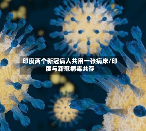 印度两个新冠病人共用一张病床/印度与新冠病毒共存-第3张图片