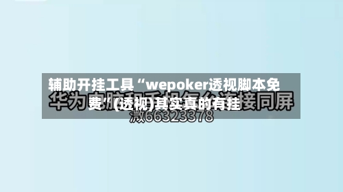 辅助开挂工具“wepoker透视脚本免费”(透视)其实真的有挂-第3张图片