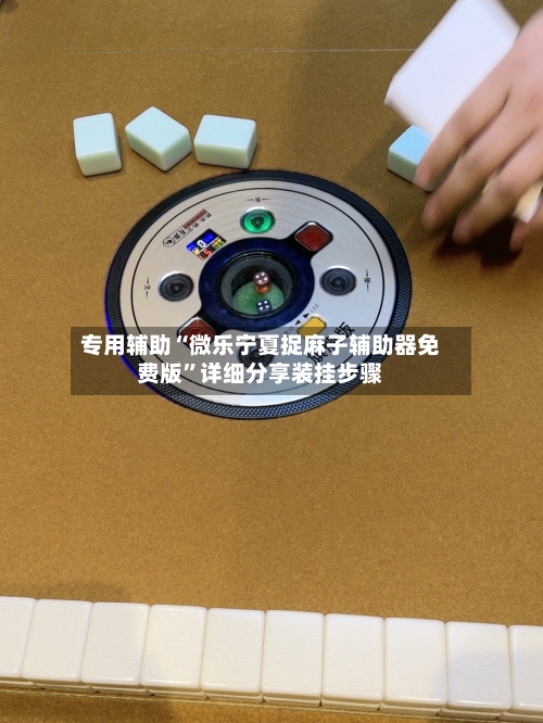 专用辅助“微乐宁夏捉麻子辅助器免费版”详细分享装挂步骤-第2张图片