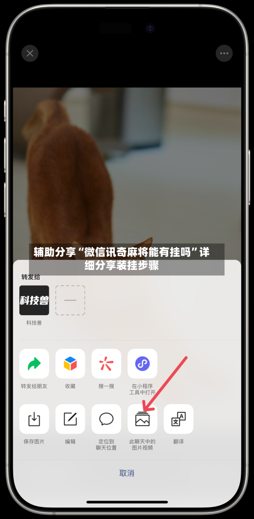辅助分享“微信讯奇麻将能有挂吗	”详细分享装挂步骤-第2张图片