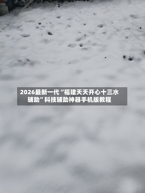 2026最新一代“福建天天开心十三水辅助”科技辅助神器手机版教程-第2张图片