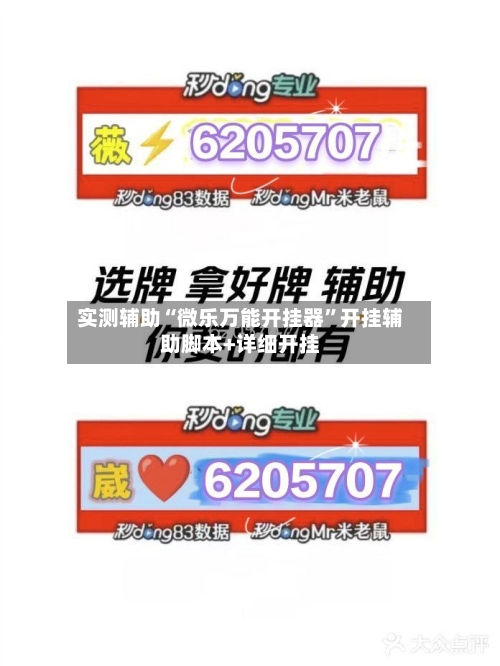 实测辅助“微乐万能开挂器”开挂辅助脚本+详细开挂-第3张图片