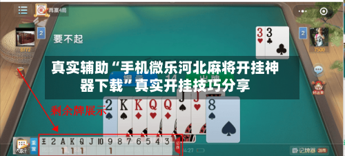 真实辅助“手机微乐河北麻将开挂神器下载”真实开挂技巧分享-第3张图片