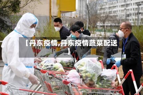 【丹东疫情,丹东疫情蔬菜配送】-第2张图片