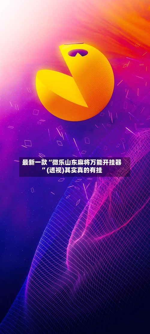 最新一款“微乐山东麻将万能开挂器”(透视)其实真的有挂-第2张图片