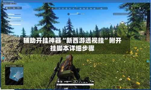 辅助开挂神器“新西游透视挂	”附开挂脚本详细步骤-第2张图片