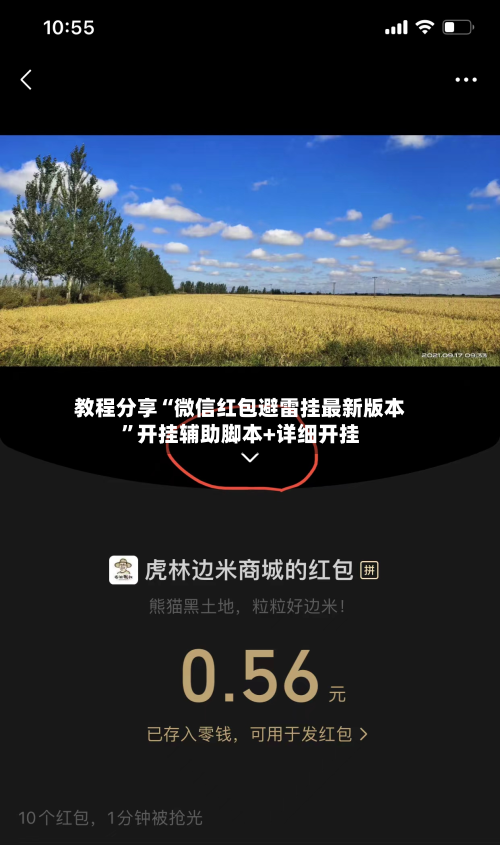 教程分享“微信红包避雷挂最新版本	”开挂辅助脚本+详细开挂-第2张图片