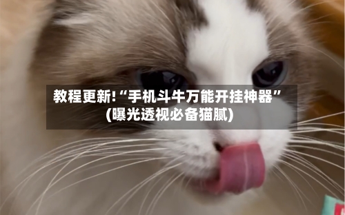 教程更新!“手机斗牛万能开挂神器”(曝光透视必备猫腻)-第3张图片