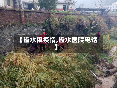【溢水镇疫情,溢水医院电话】-第2张图片