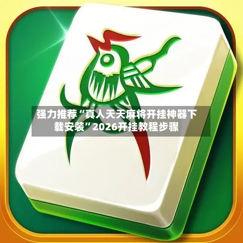 强力推荐“真人天天麻将开挂神器下载安装”2026开挂教程步骤-第2张图片